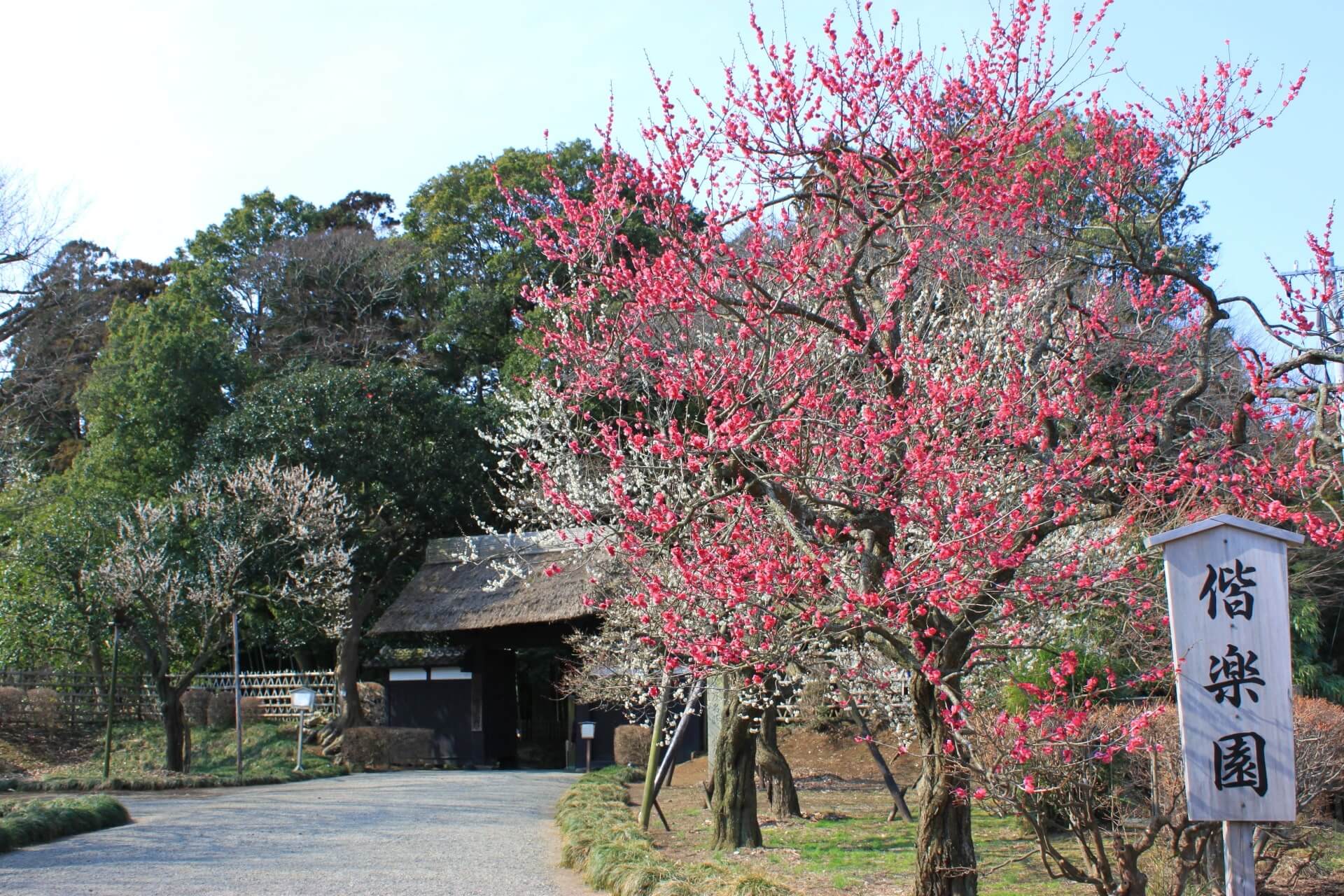 Kairakuen Garden