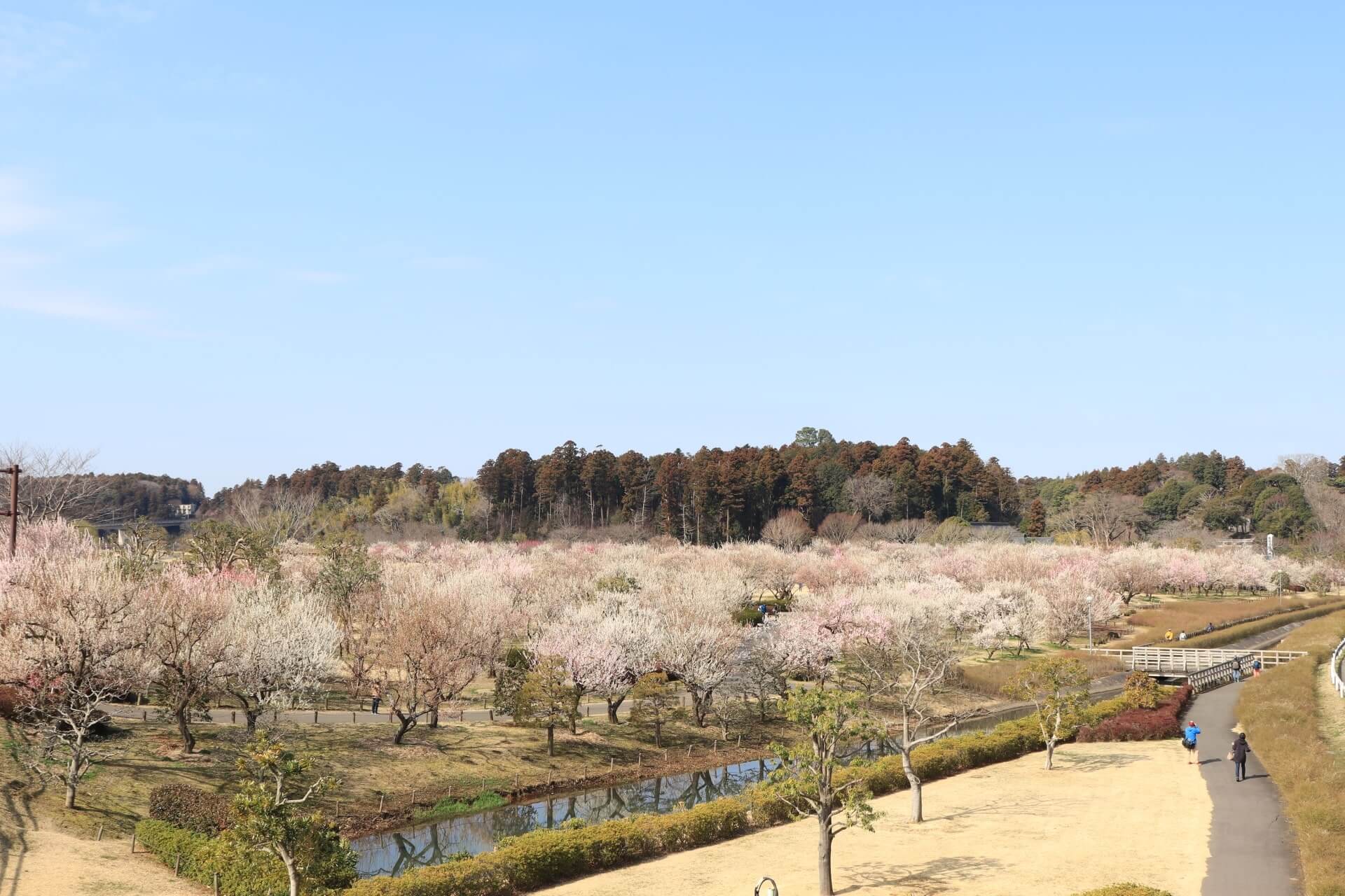 Kairakuen Garden