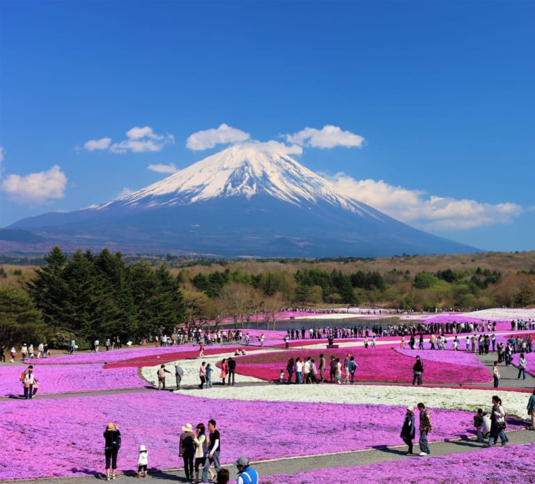 Mt.FUJI