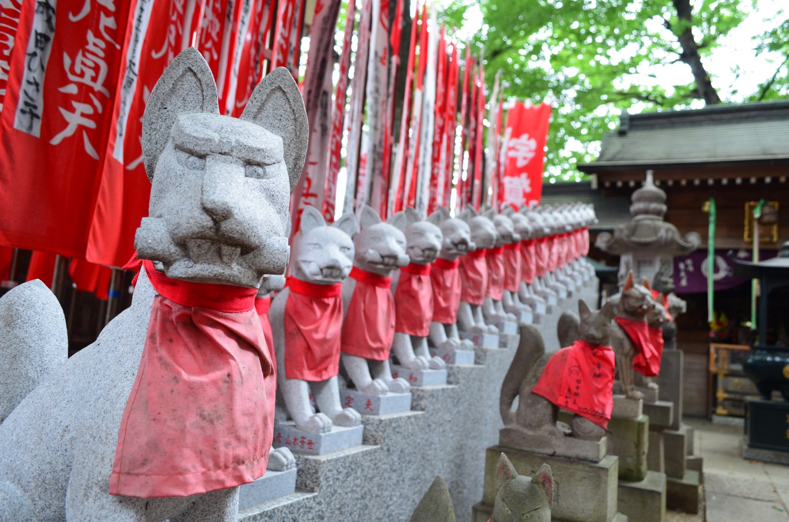 Unique and photo-worthy shrine with fox statues