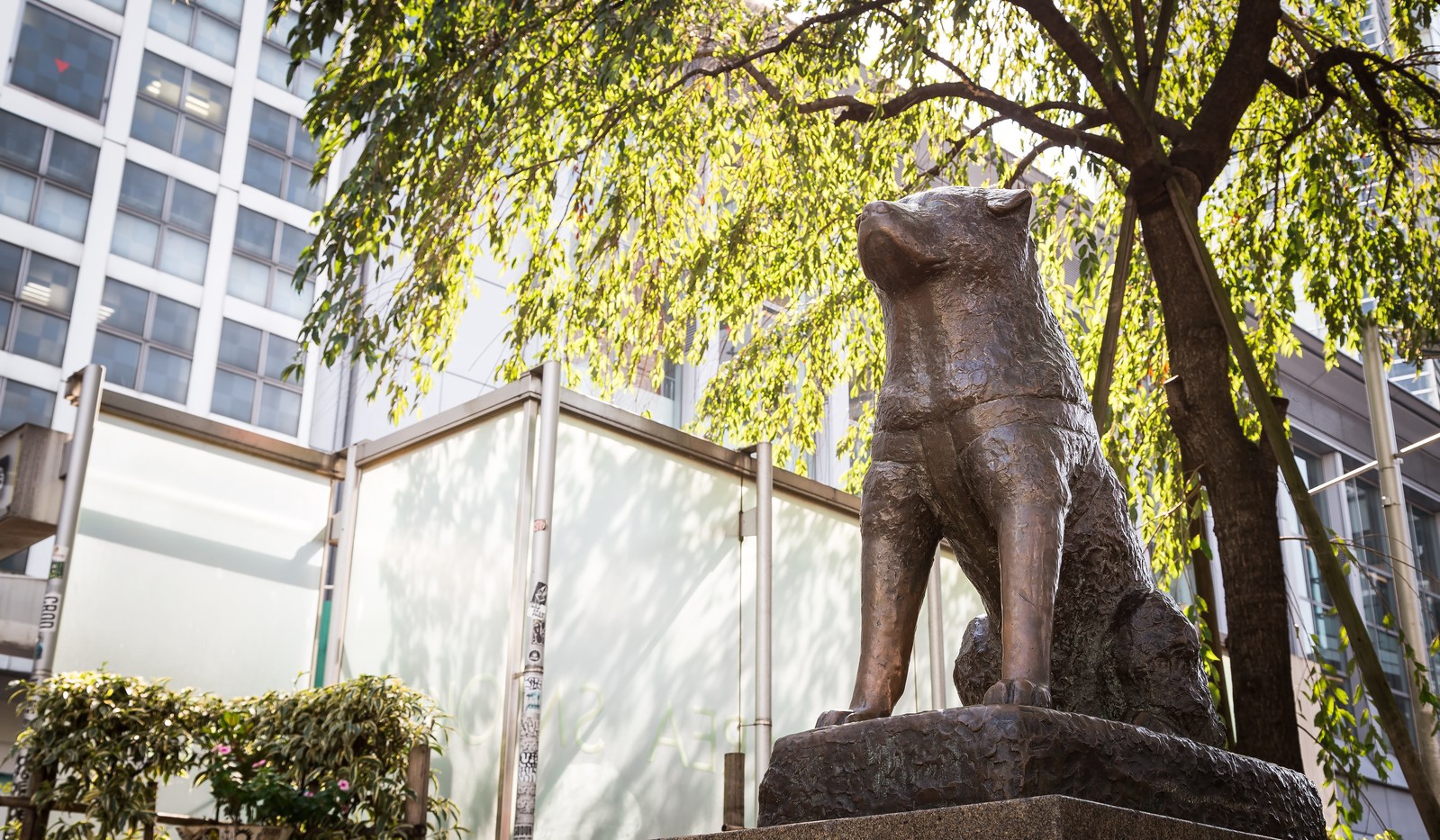 The iconic Hachiko Statue in front of Shibuya Station