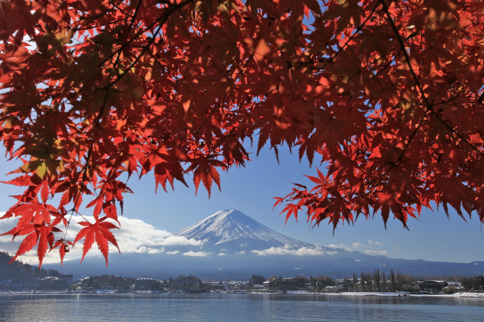 Lake Kawaguchiko with maple leaves and Mt Fuji