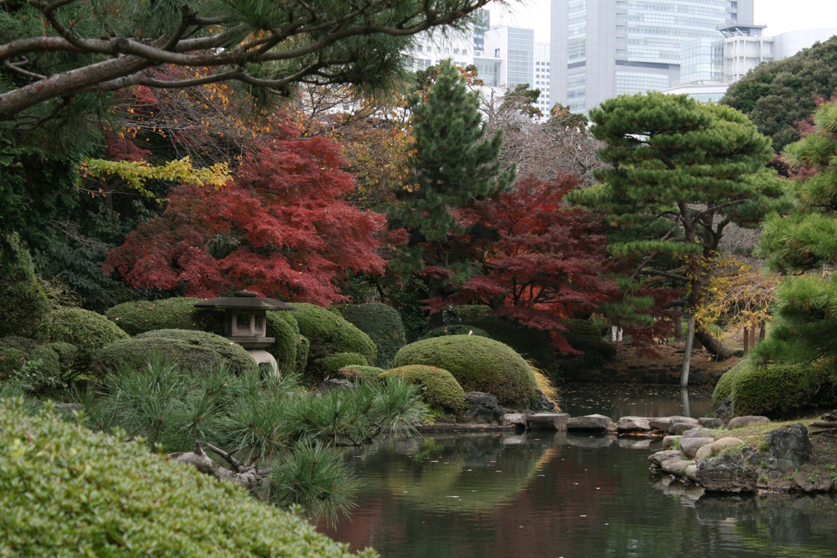 Traditional Japanese style garden at Shinjuku Gyoen