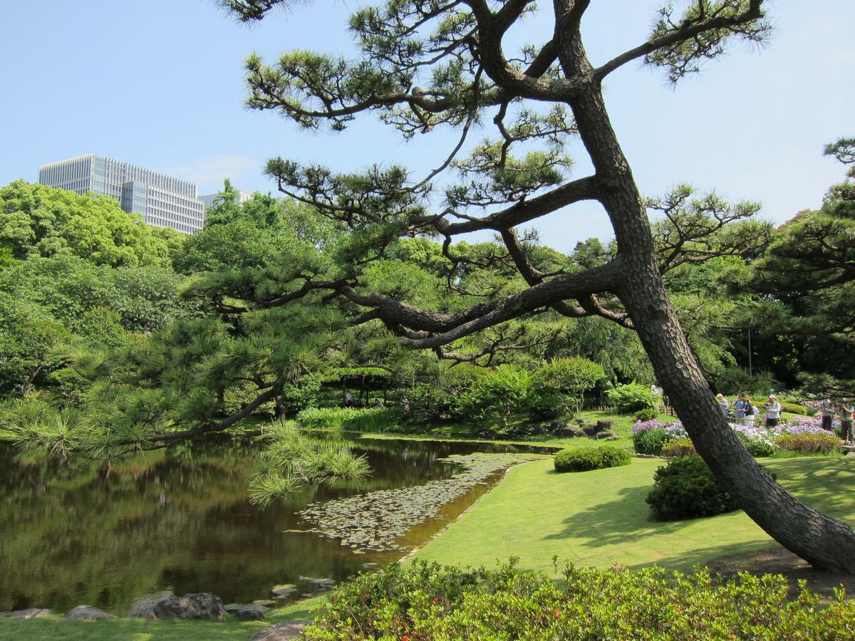 Imperial Palace East Gardens