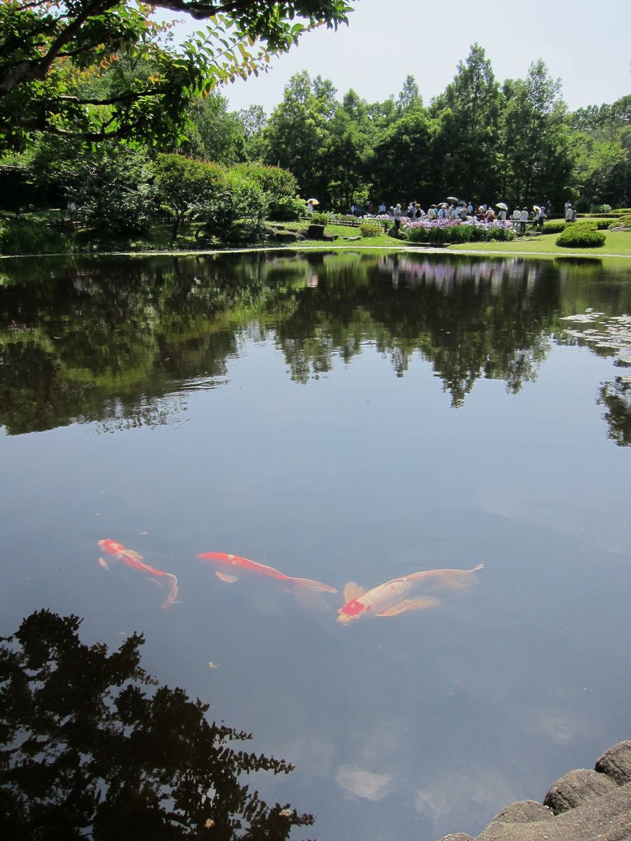 The pleasant nature at Imperial Palace East Gardens