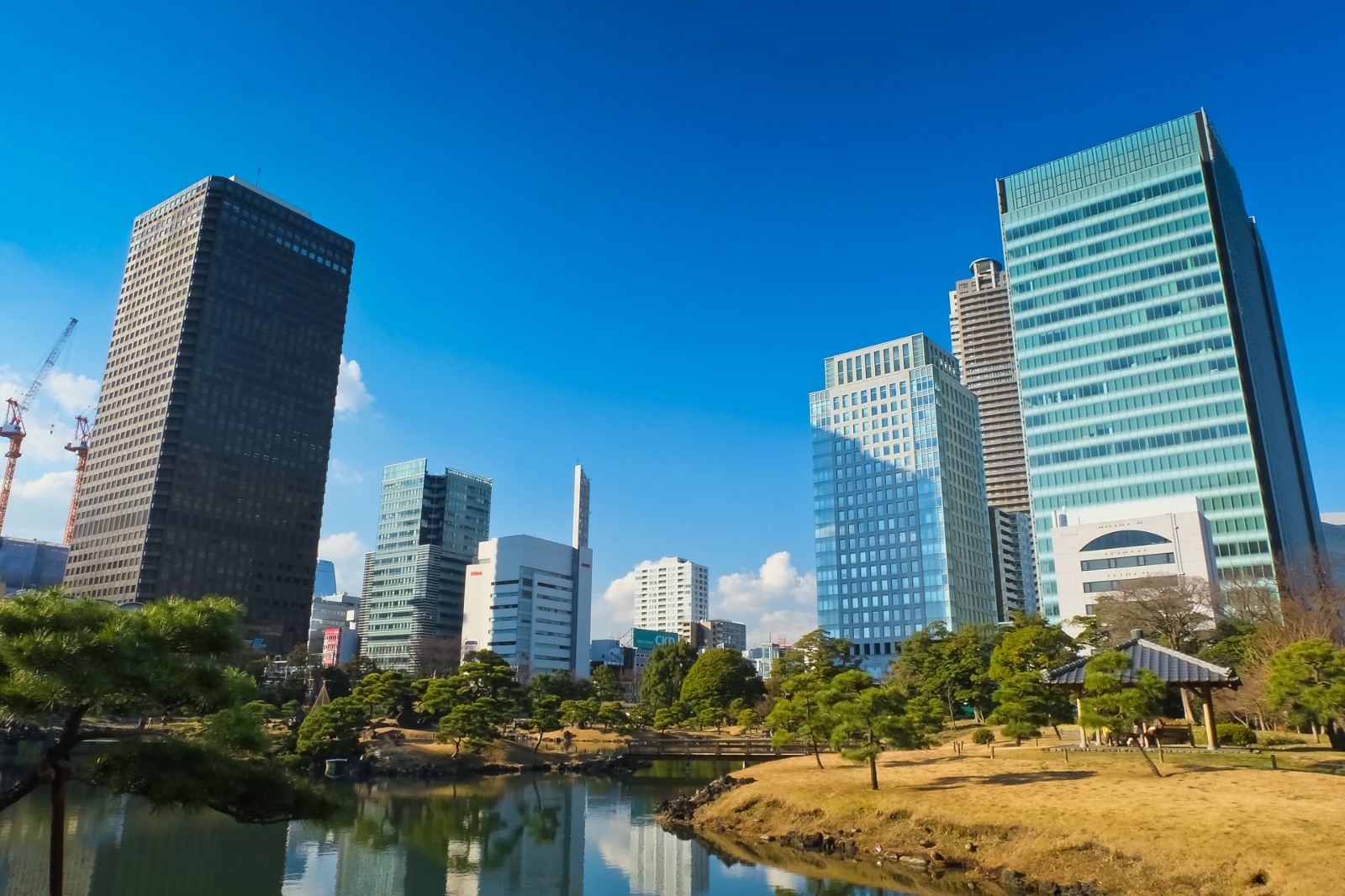 The unique view at Kyu Shiba Rikyu Garden and skyscrapers on background