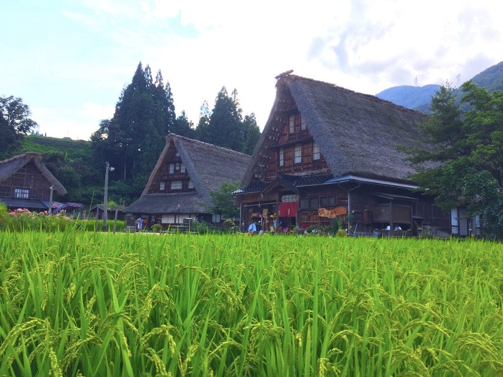 Suganuma Village in summer