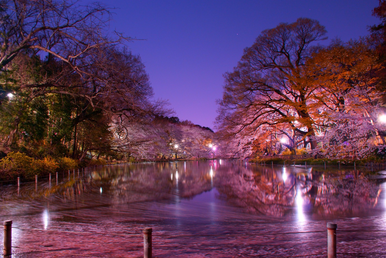 Kichijoji