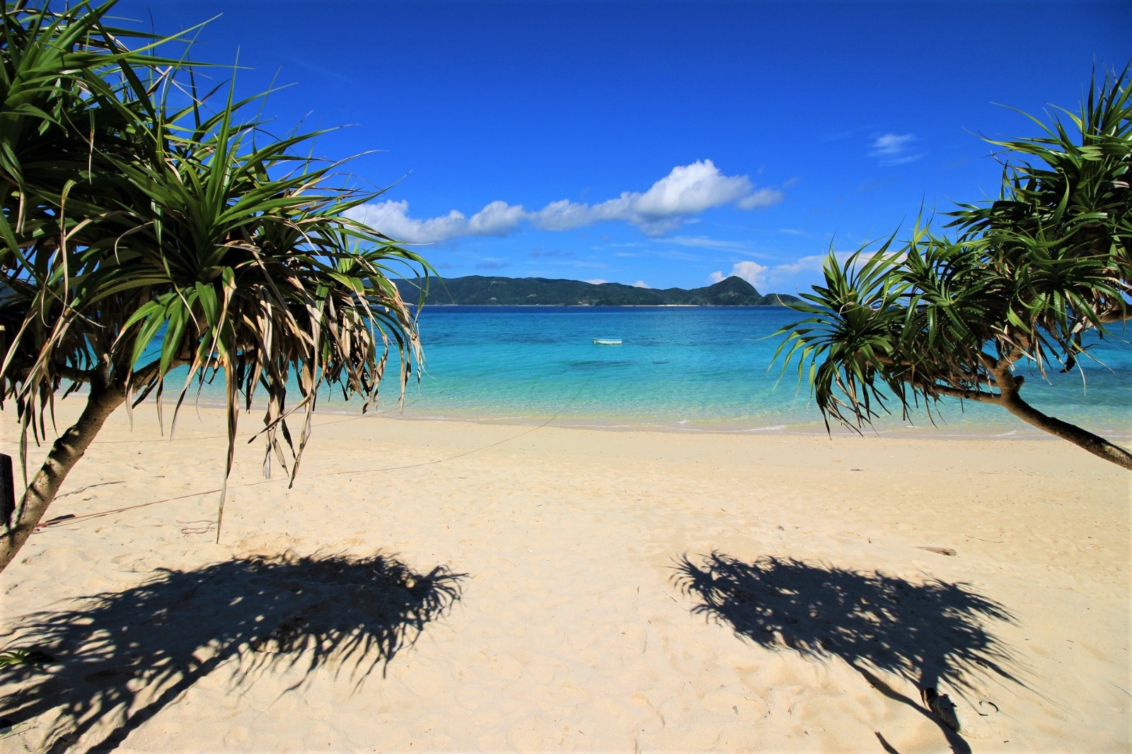 Beat Beaches in Japan