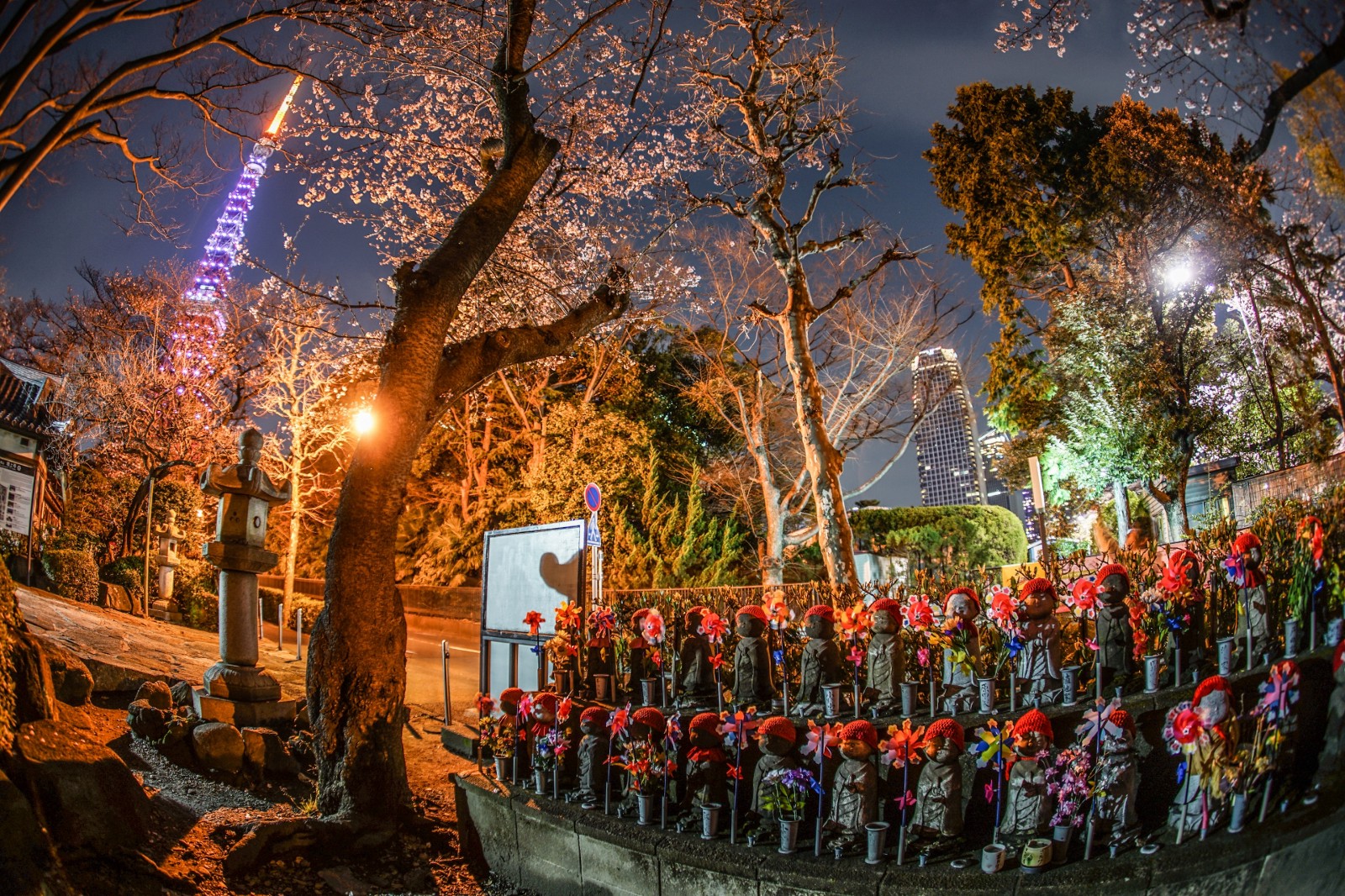 Zojoji Temple at night