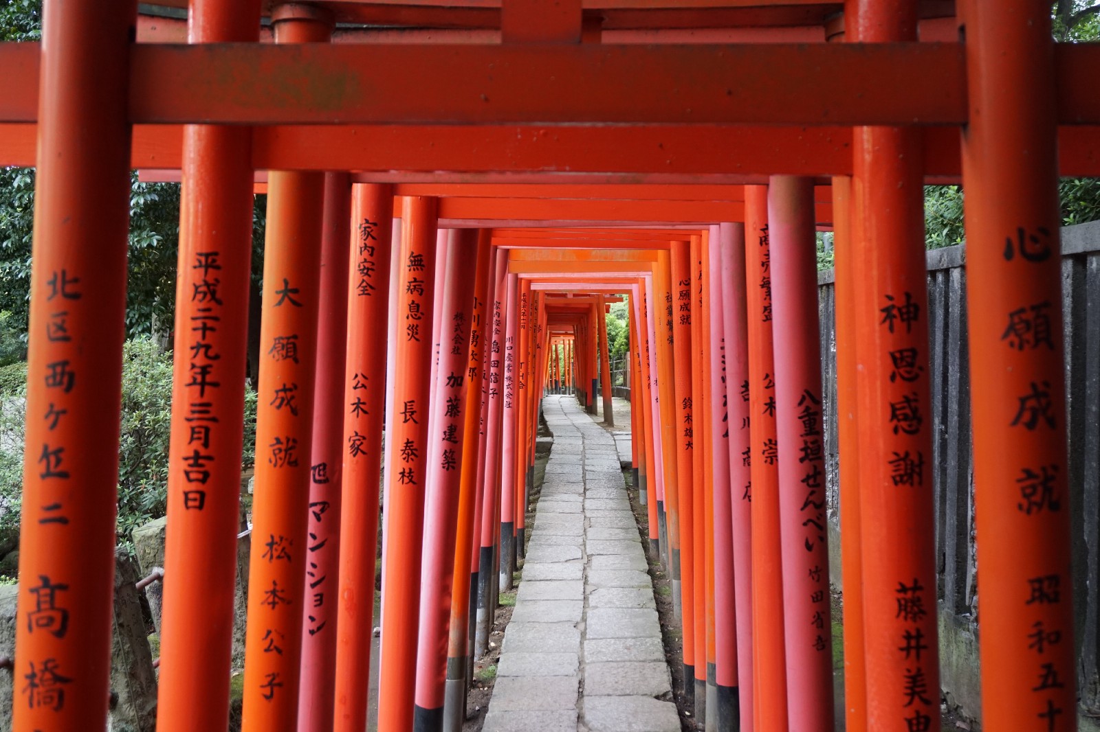 Nezu Shrine's iconic vermilion torii gates