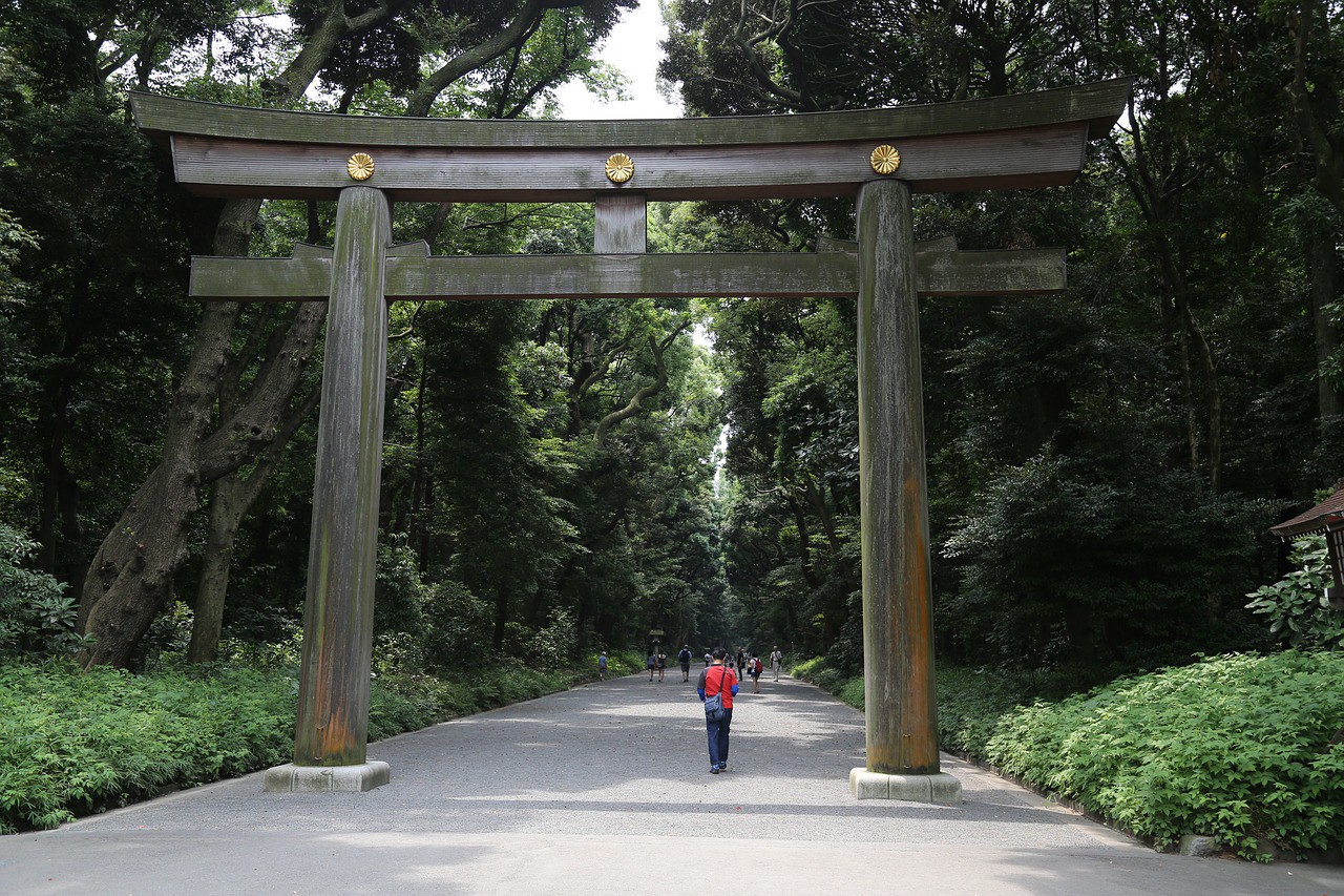 The magnificent wooden torii gate in Meiji Shrine