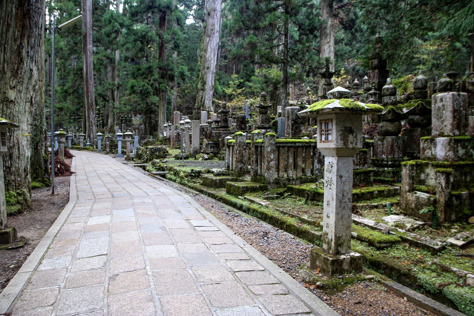 The serine path through the pilgrim of Koyasan