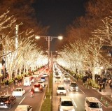 Omotesando Illumination