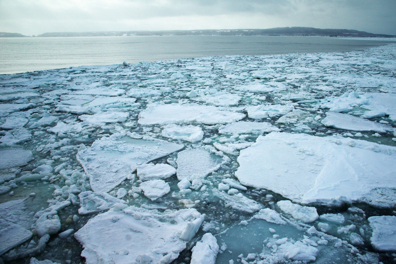 The sea covered with drift Ice (Ryuhyo) 