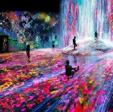 森大樓數位美術館：teamLab Borderless 於2023年重新開放