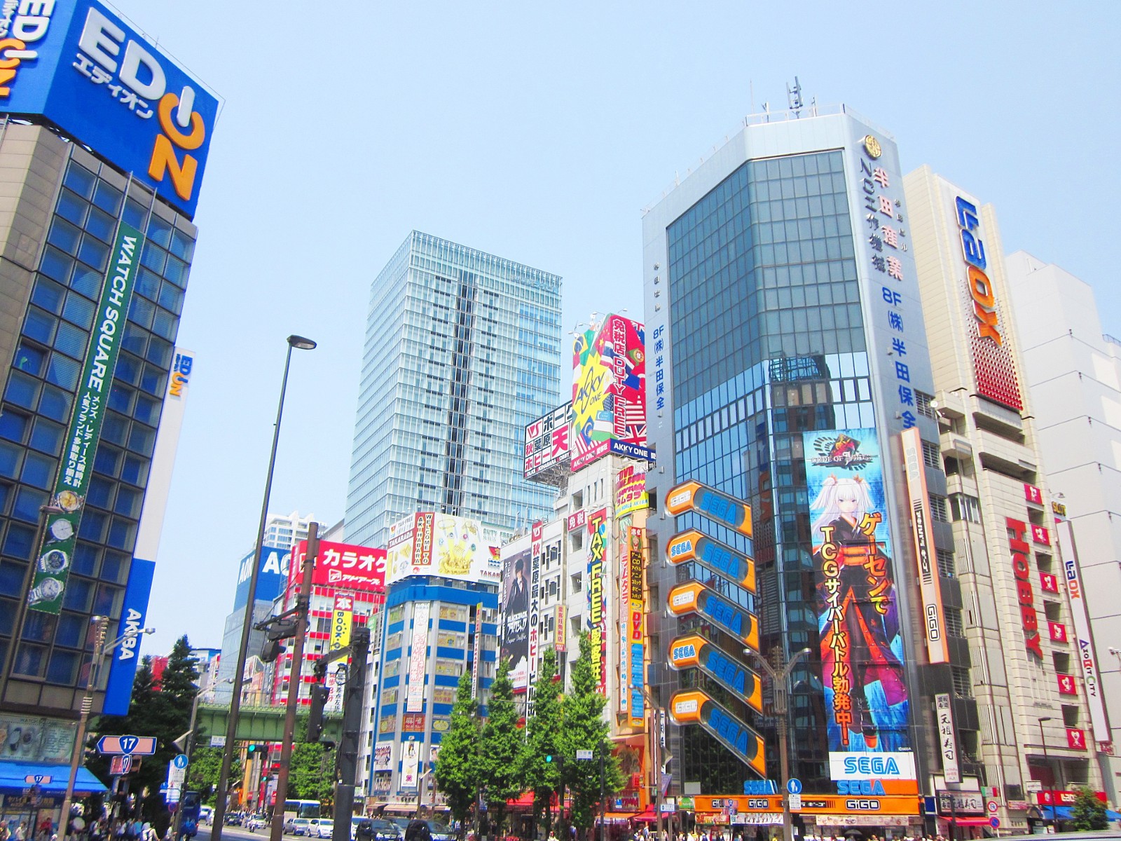 Akihabara offers hundreds of shops related to Otaku culture