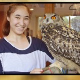 Reservation for Owl Cafe in Tokyo (Official Partner)