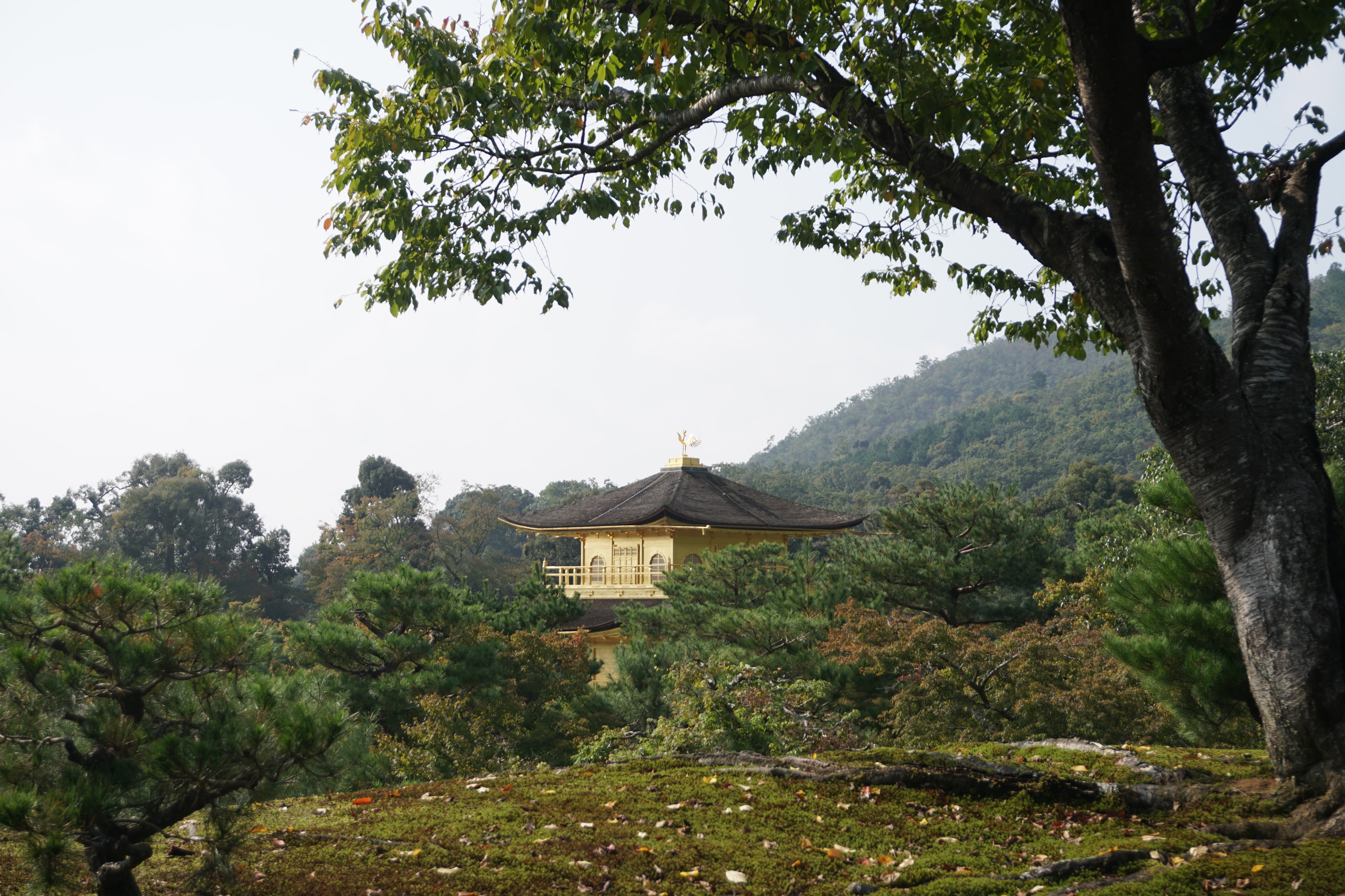 Kinkakuji