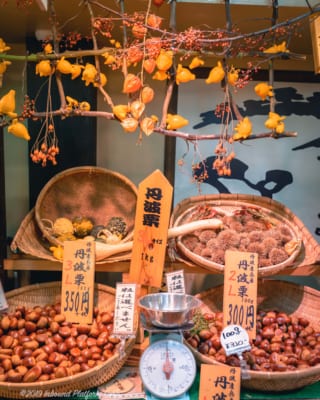 Nishiki Market