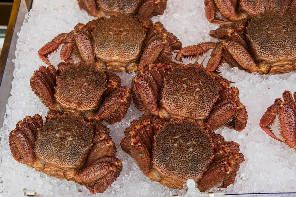 Crab in Hakodate