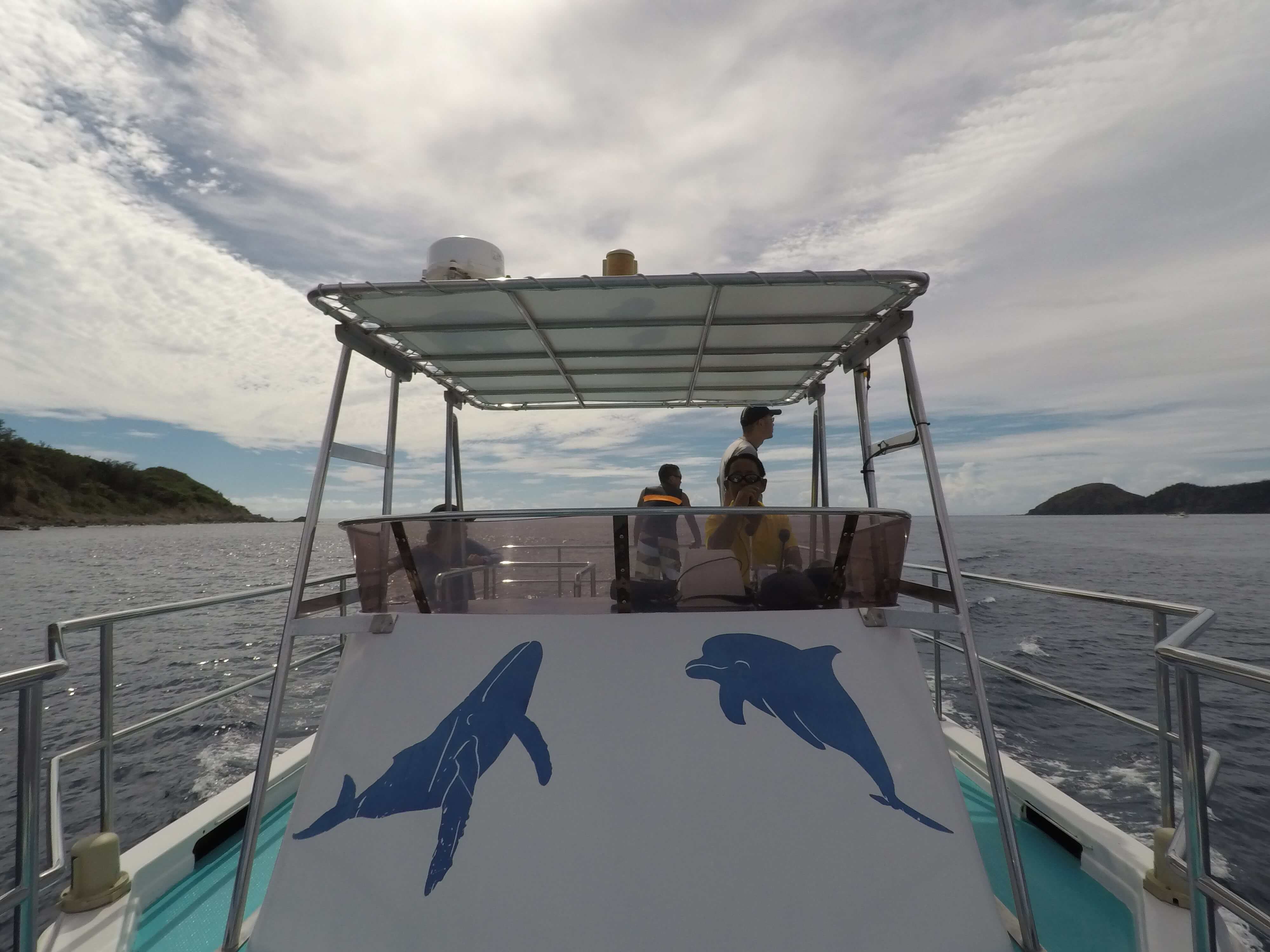 Boat heading to the spot with dolphins