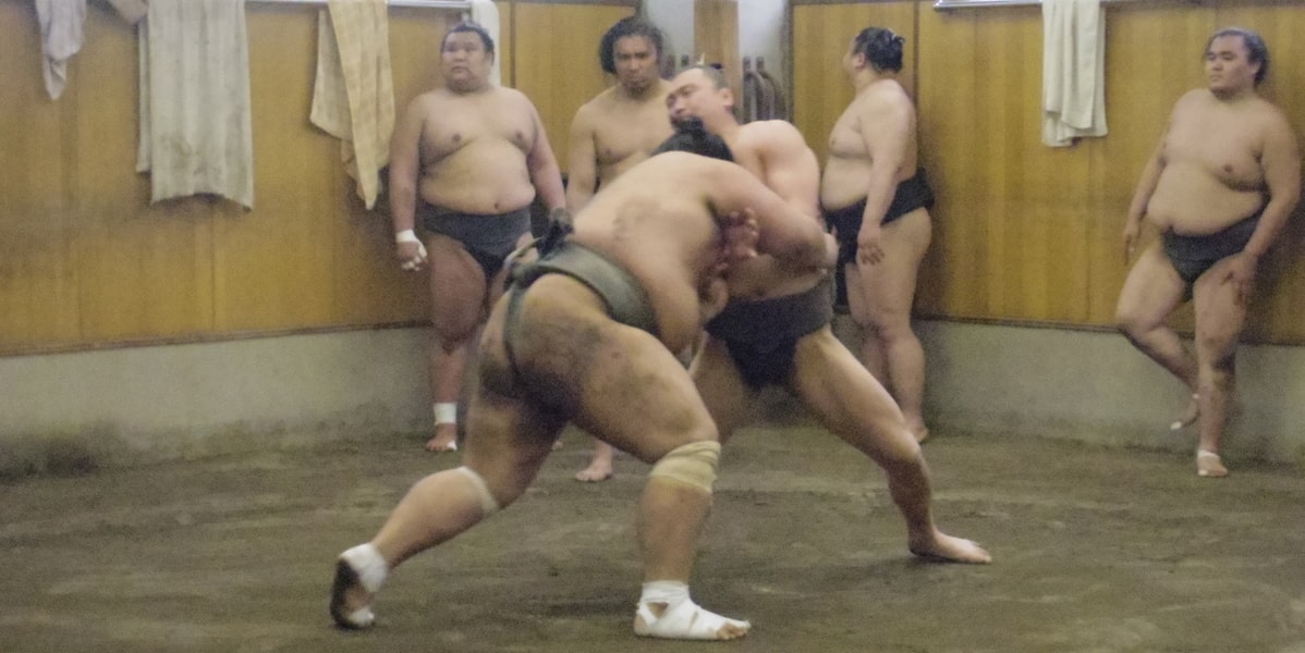 Sumo morning practice