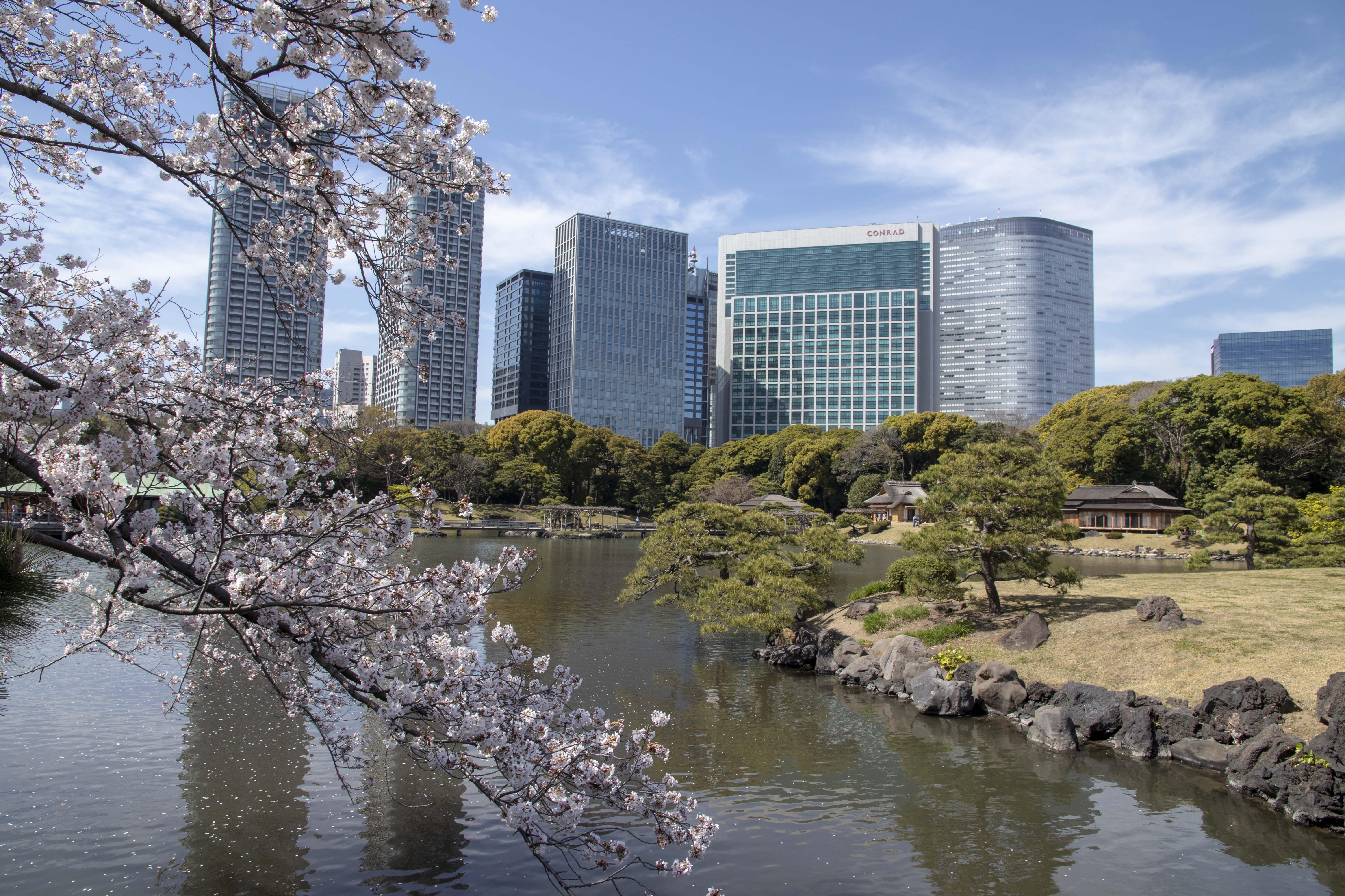 Hamarikyu Garden