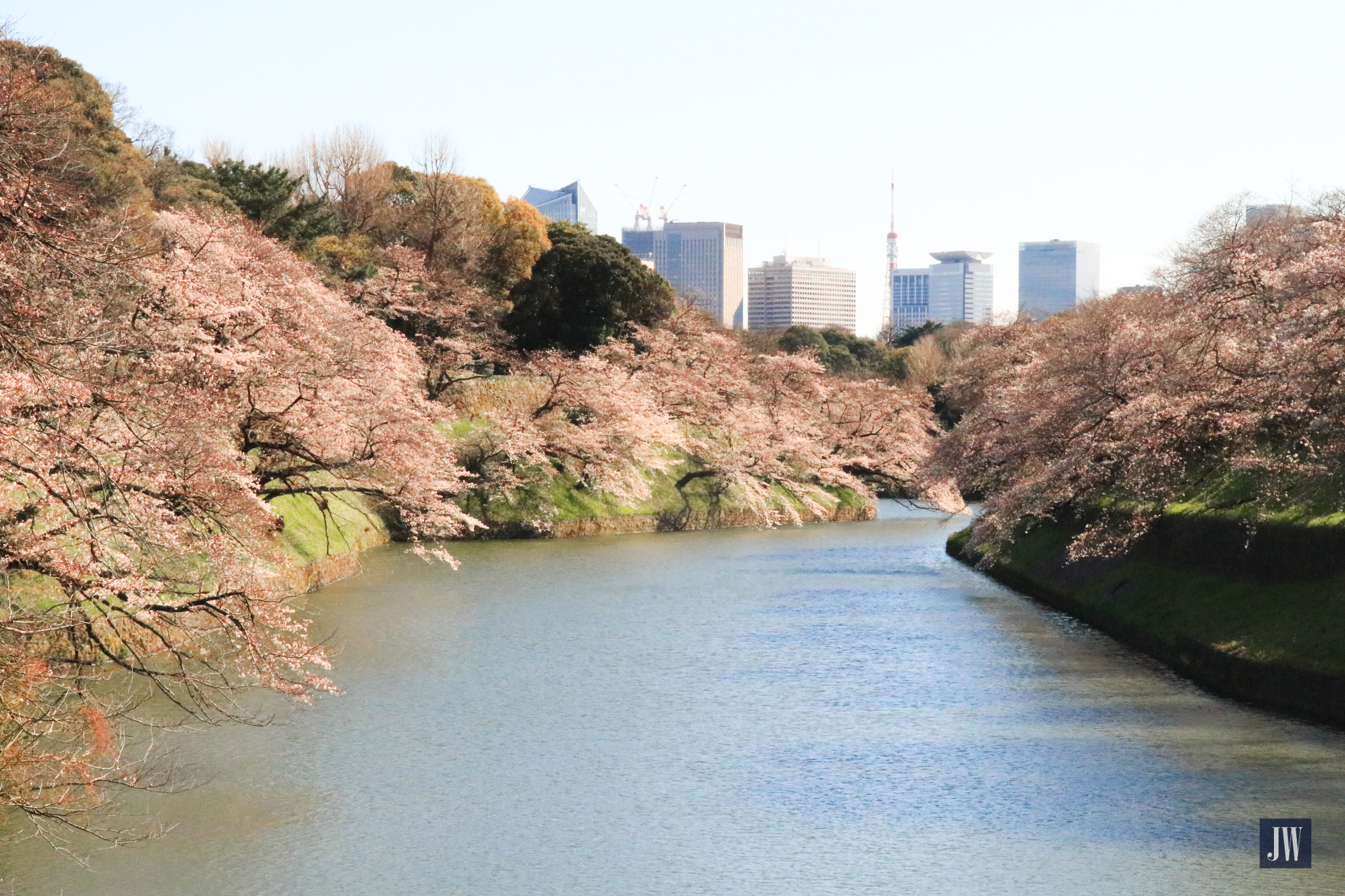 Chidorigafuchi