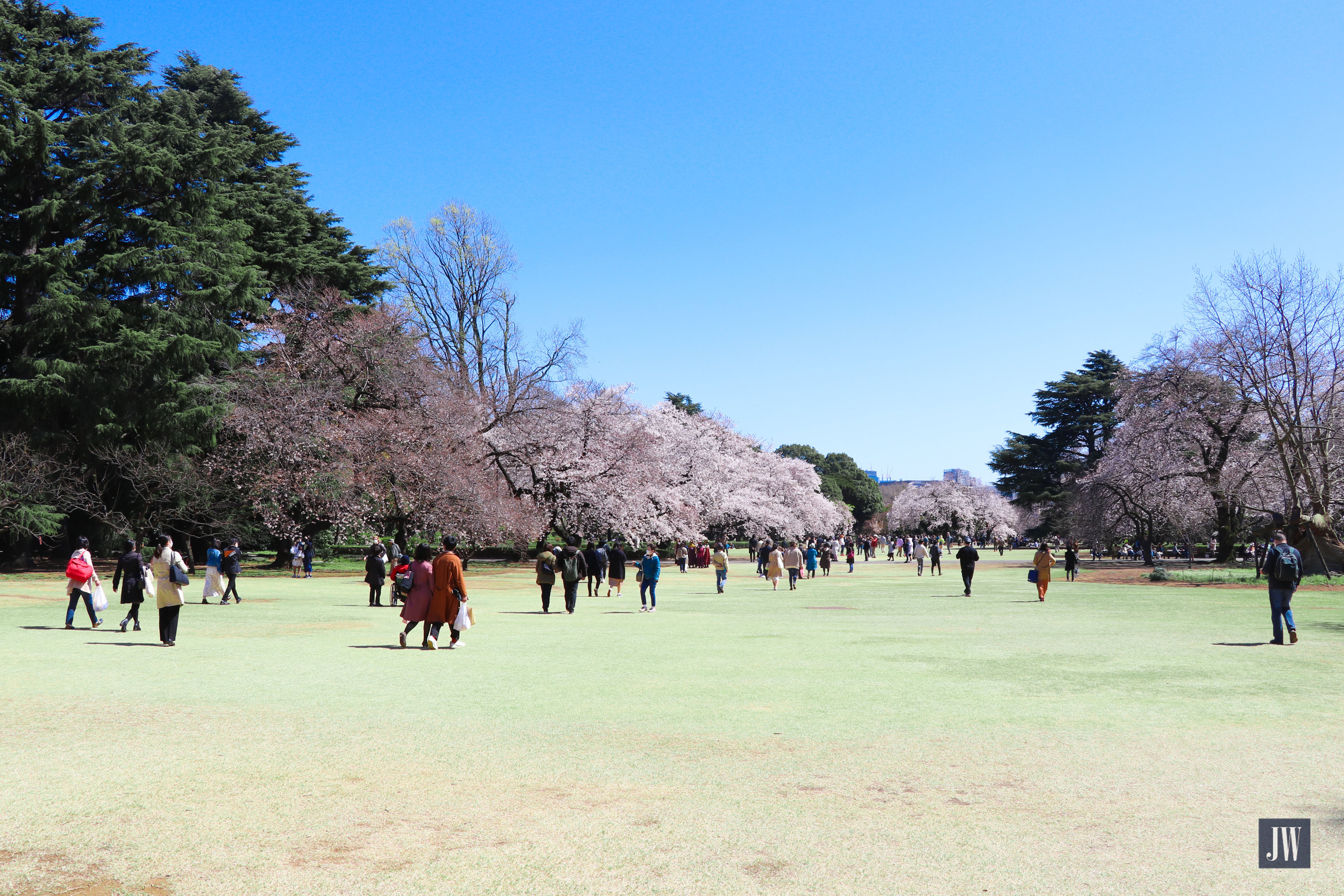 Shinjuku Gyoen