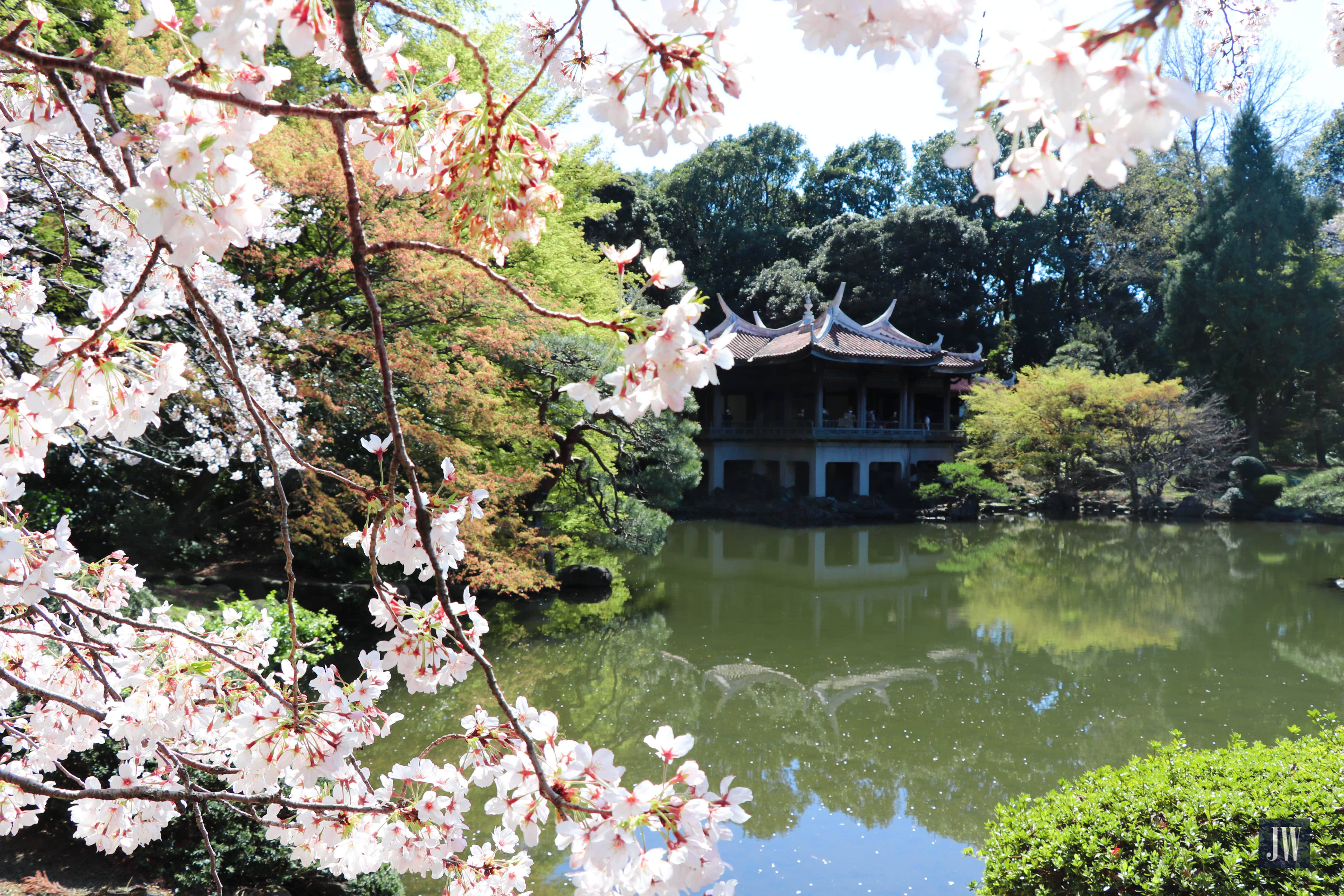 Shinjuku Gyoen