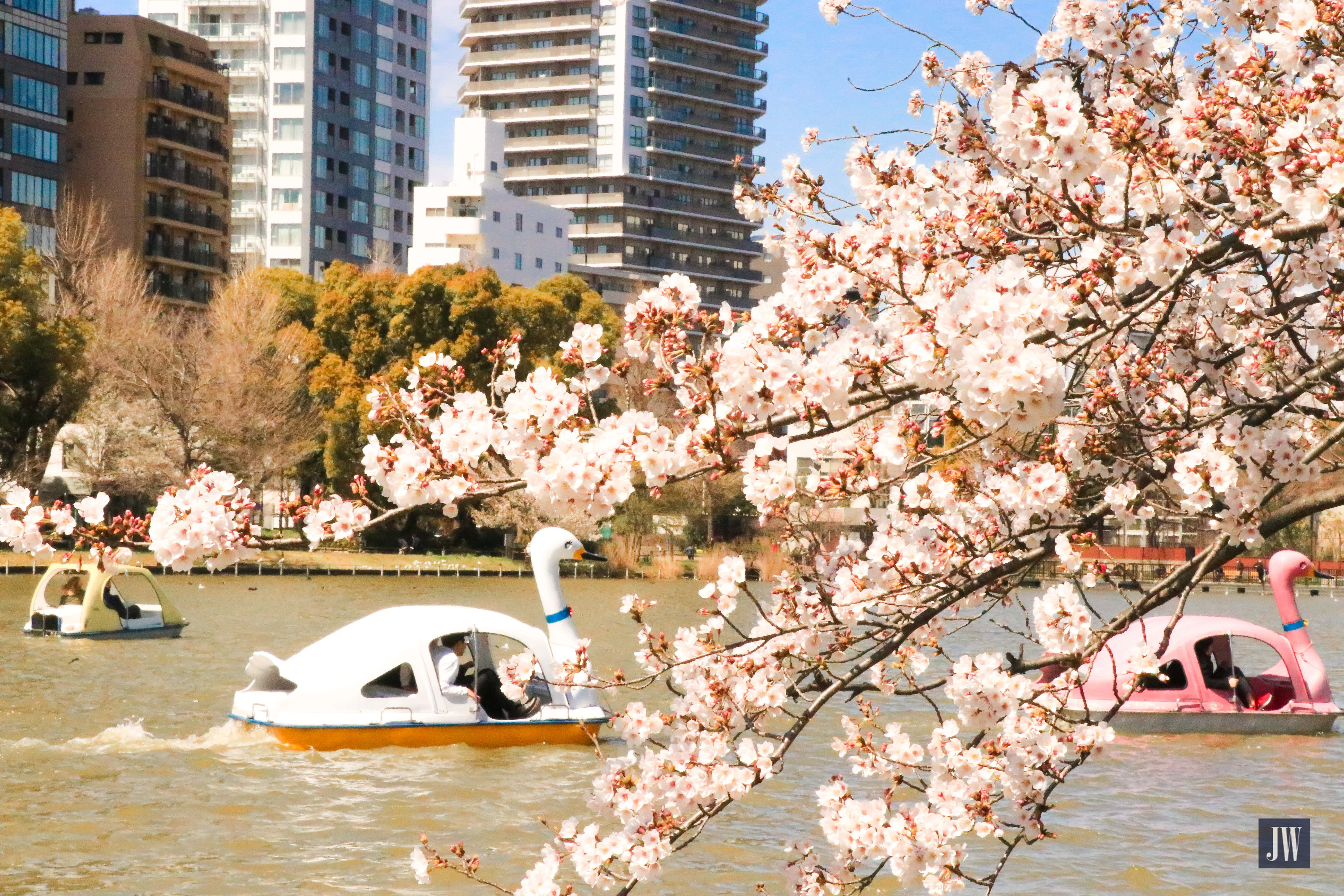 Ueno Park