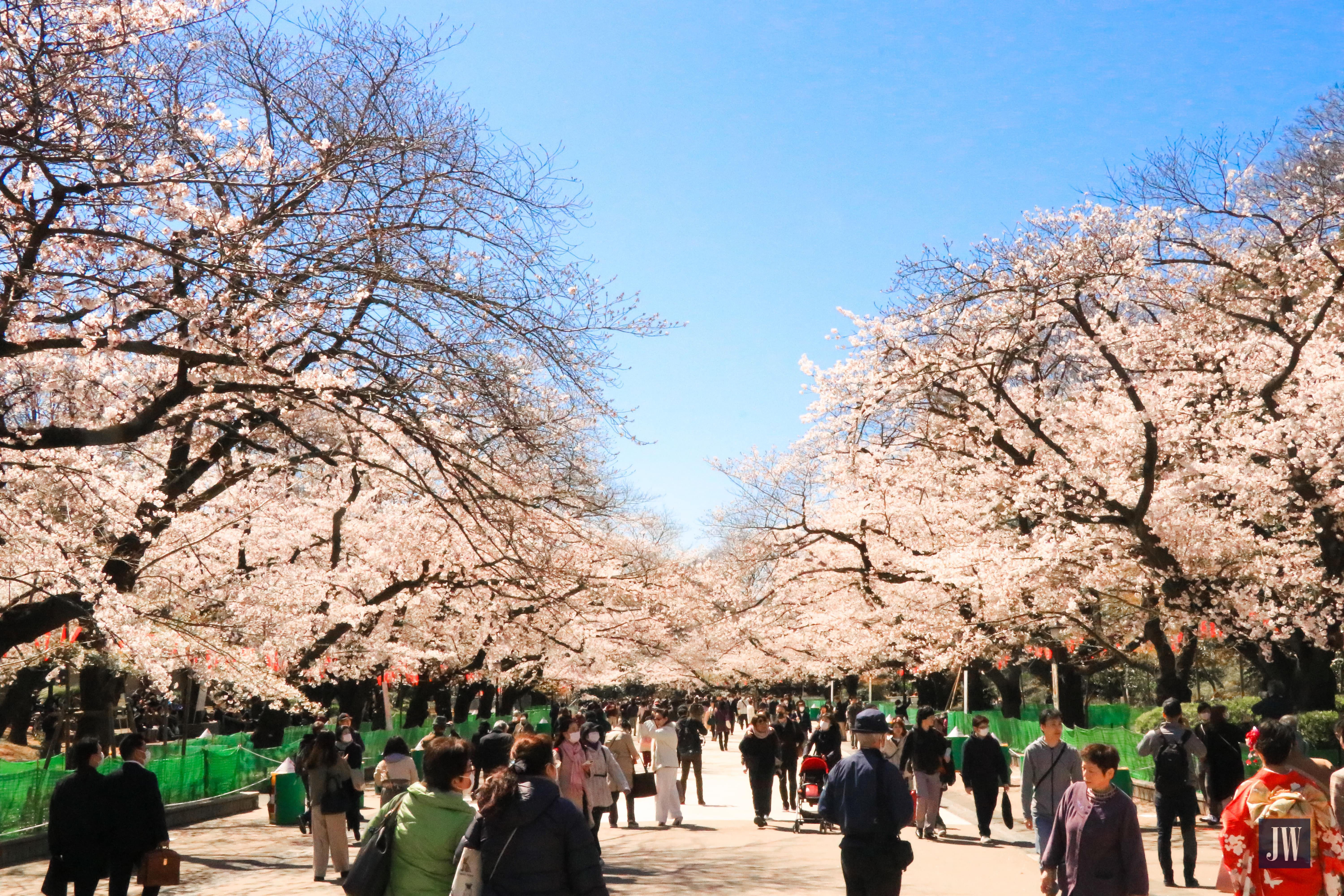 Ueno Park