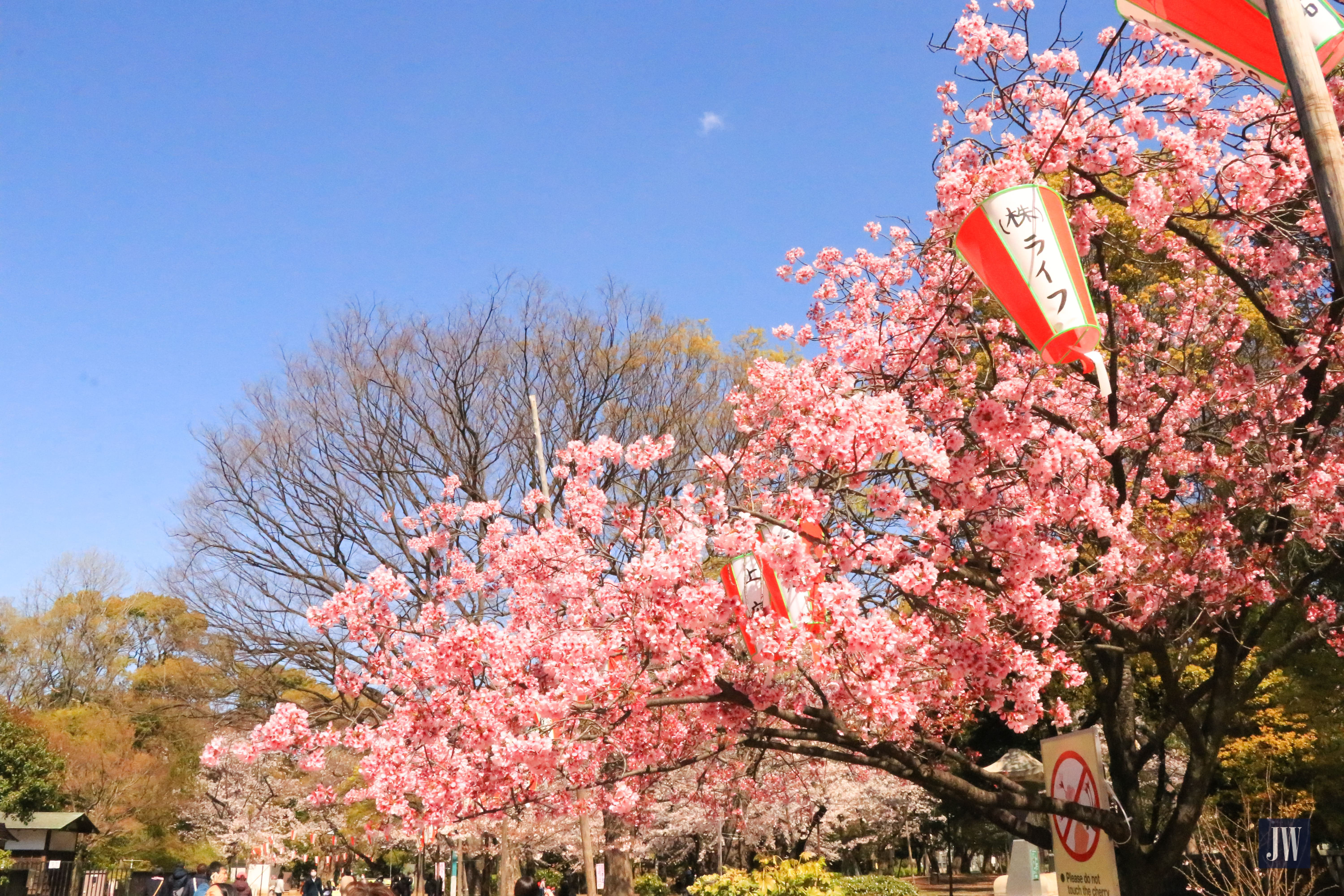 Ueno Park