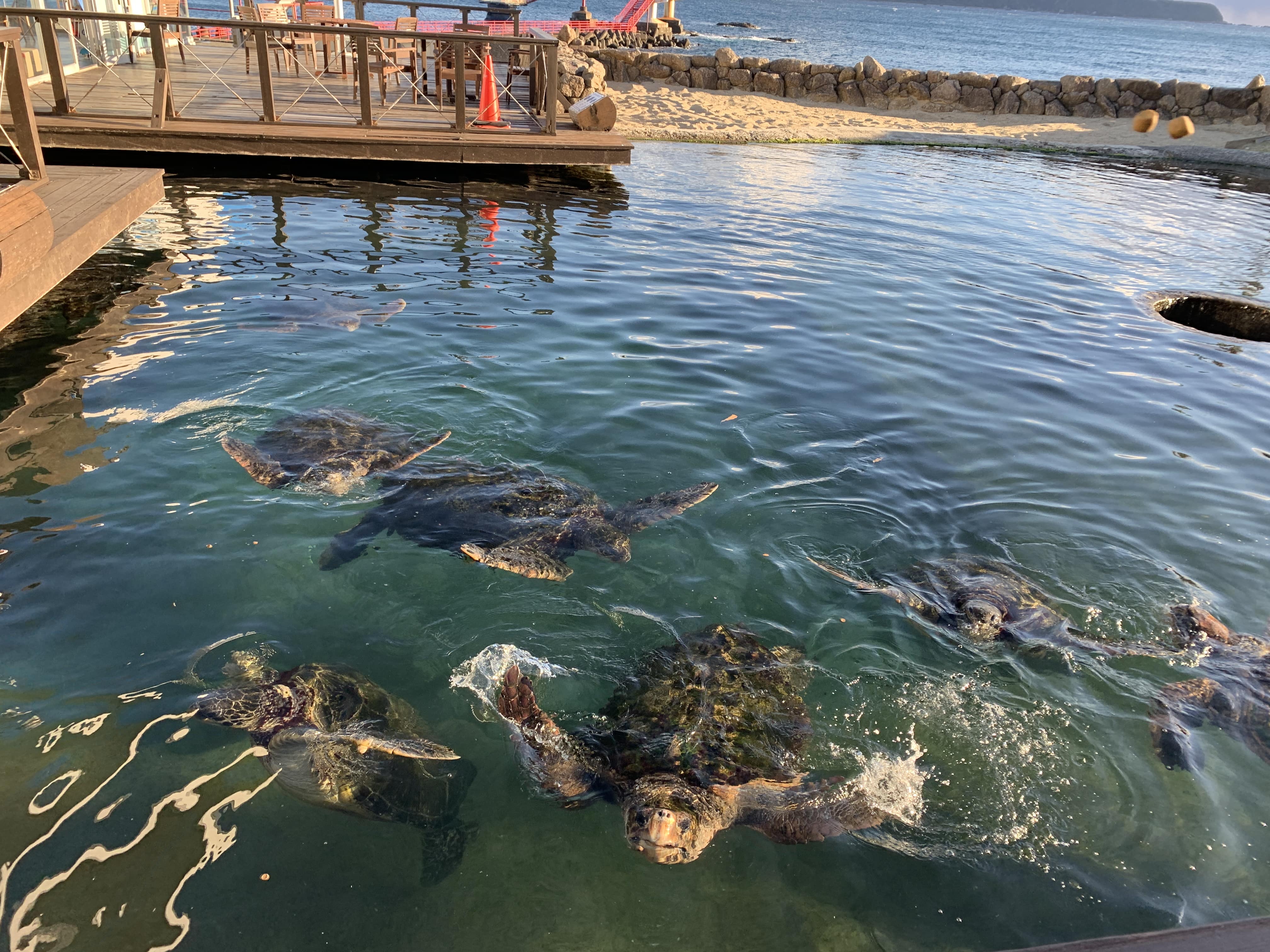 Kushimoto Marine Park