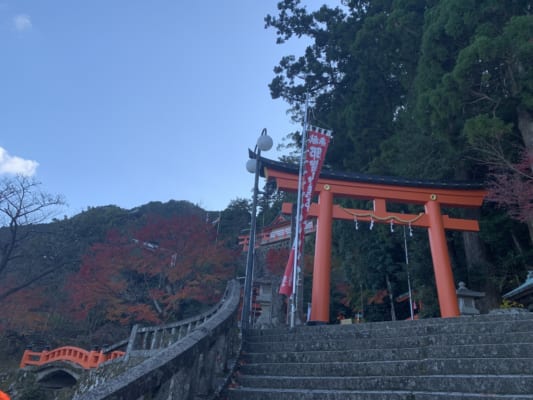 Kumano Kodo by Ohechi Route