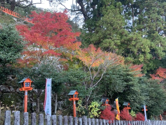 Kumano Kodo by Ohechi Route