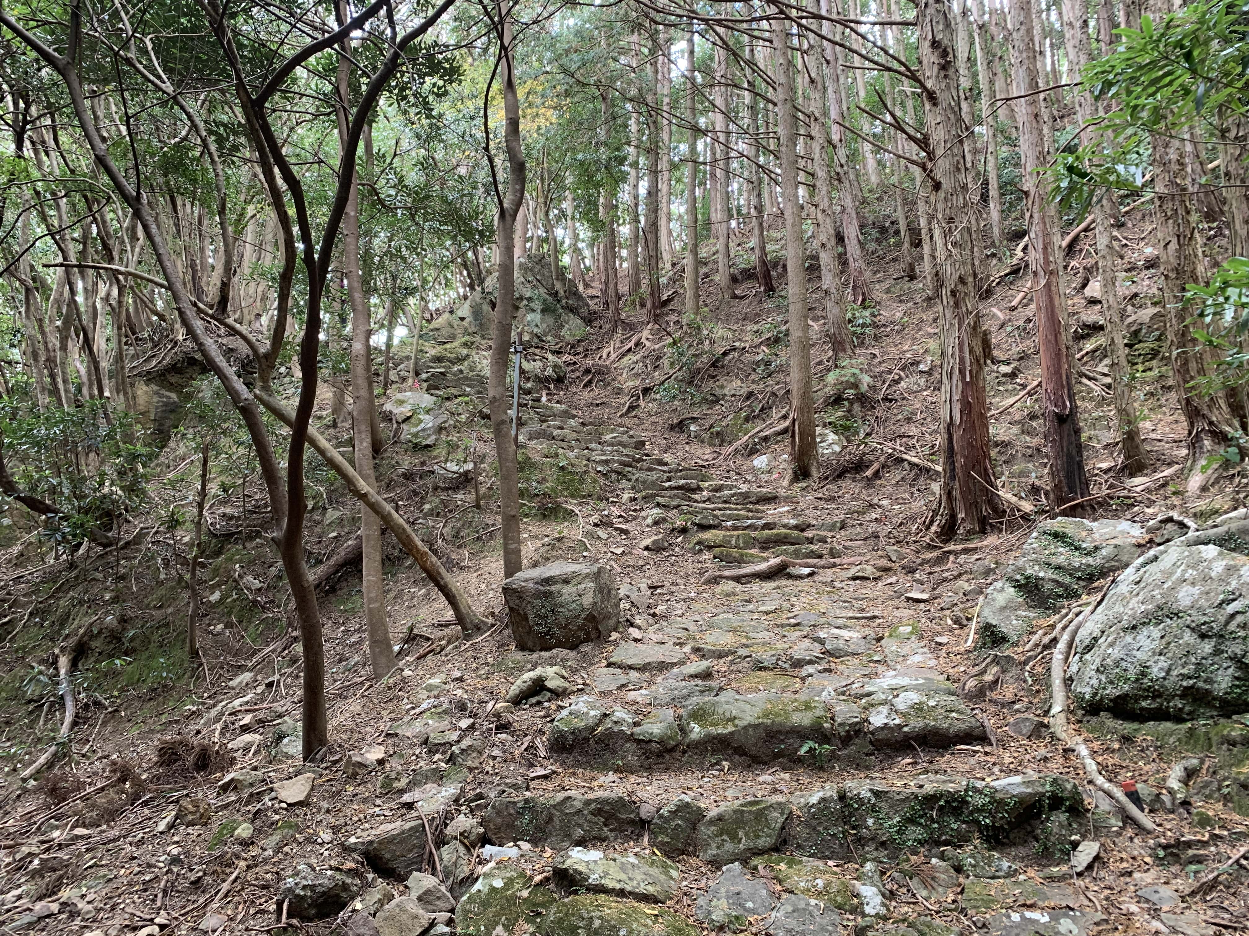 Kumano Kodo by Ohechi Route