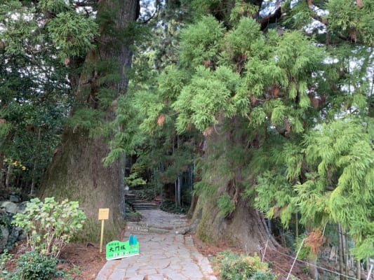 Kumano Kodo by Ohechi Route