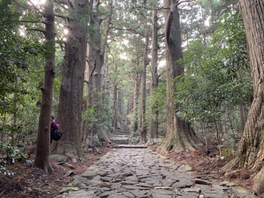 Kumano Kodo by Ohechi Route