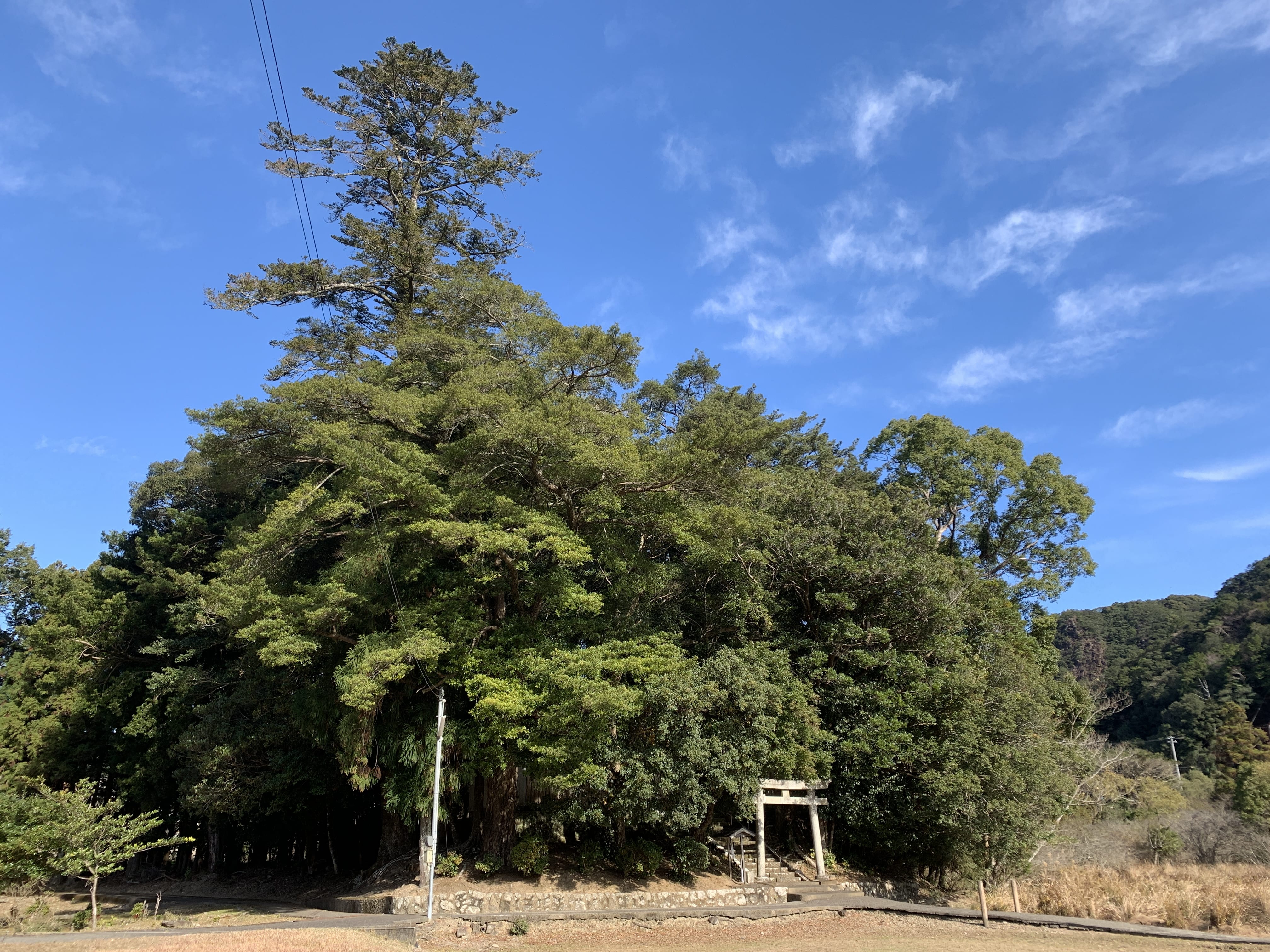 Kumano Kodo by Ohechi Route