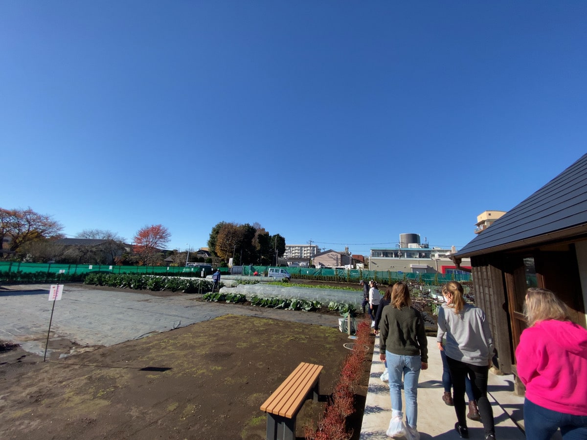 Farming Tour in Suginami city, Tokyo