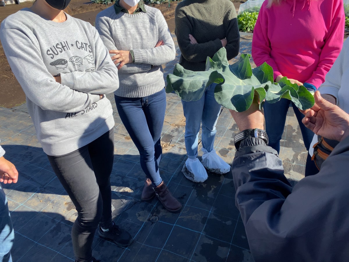 Farming Tour in Suginami city, Tokyo