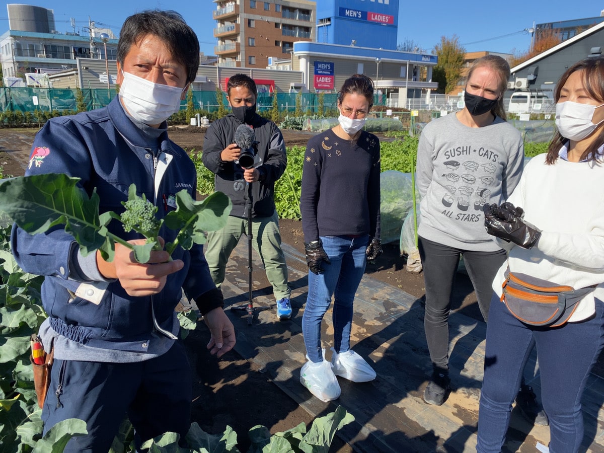 Farming Tour in Suginami city, Tokyo