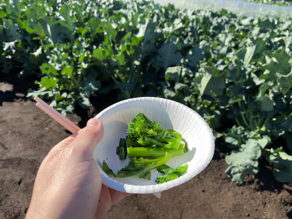 Farming Tour in Suginami city, Tokyo