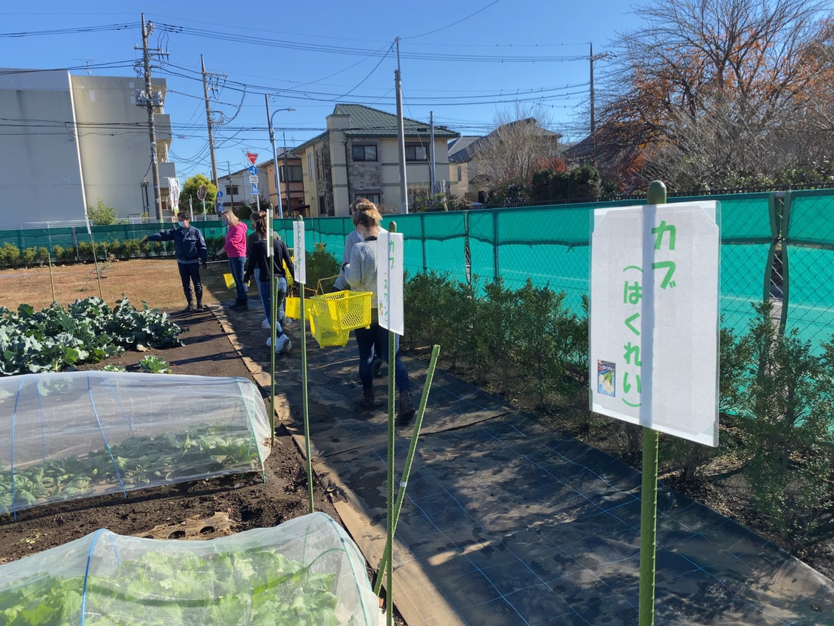 Farming Tour in Suginami city, Tokyo