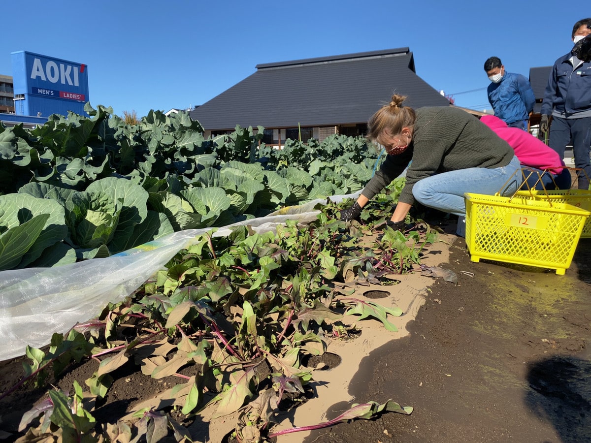 Farming Tour in Suginami city, Tokyo