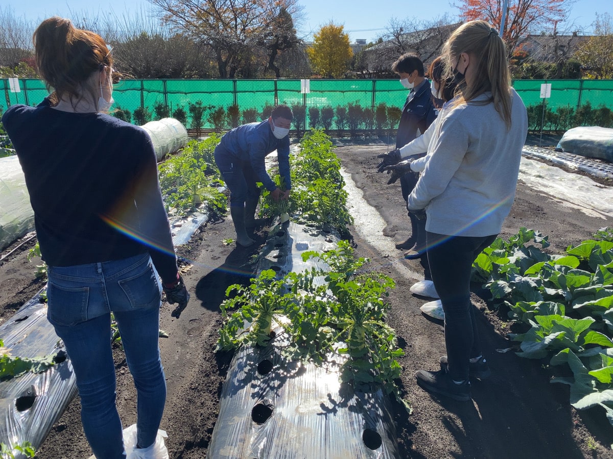 Farming Tour in Suginami city, Tokyo