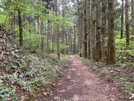 Nakasendo Road