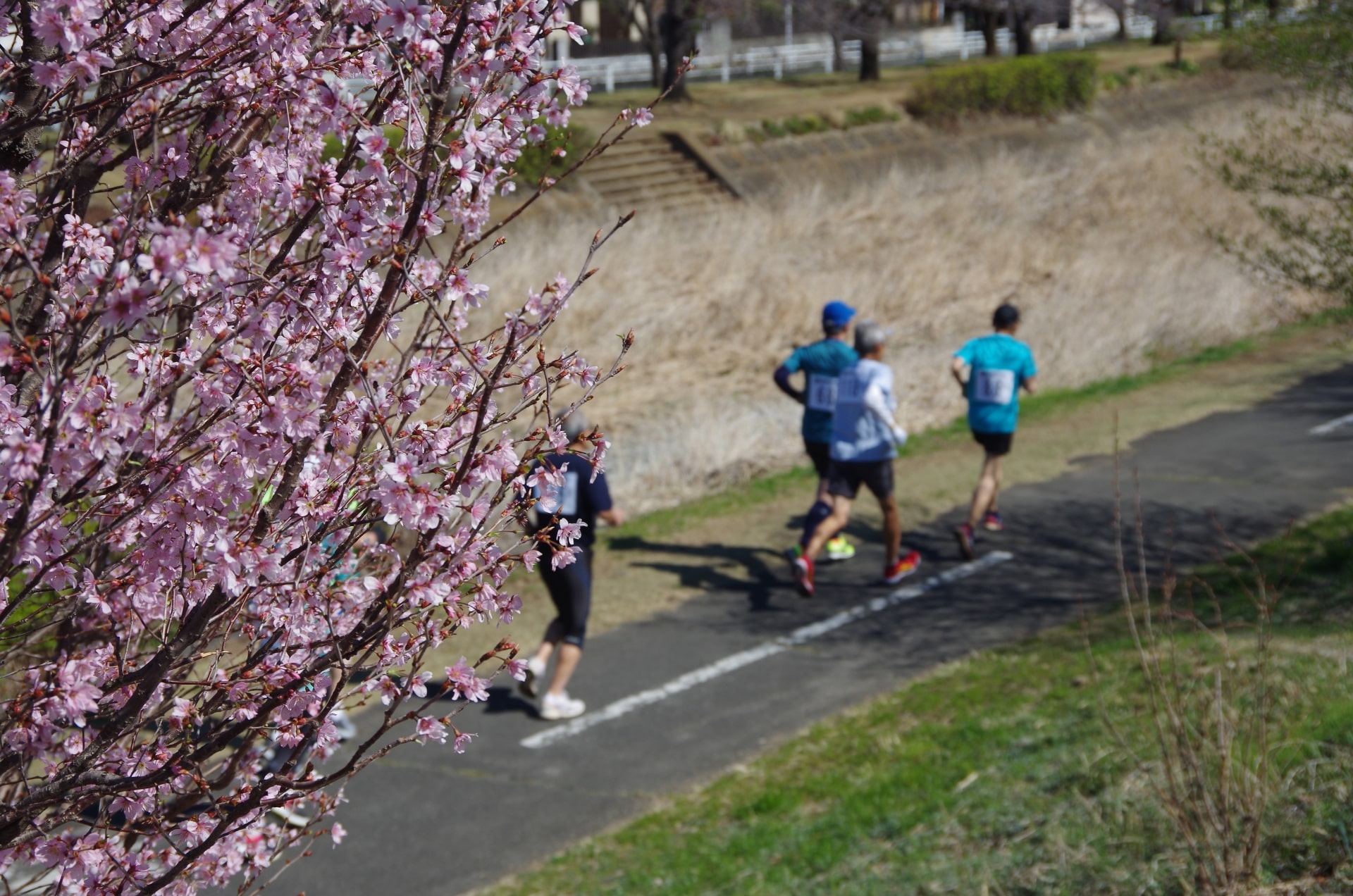 Best Running Paths in Tokyo Feature